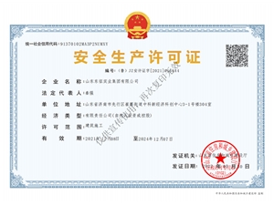 东征安全生产许可证