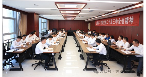 澳门新莆京游戏app大厅红·创先锋｜集团公司召开党务工作专题会
