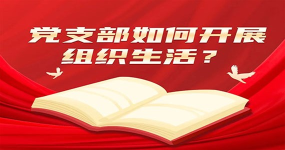 澳门新莆京游戏app大厅红·创先锋｜党支部如何开展组织生活？